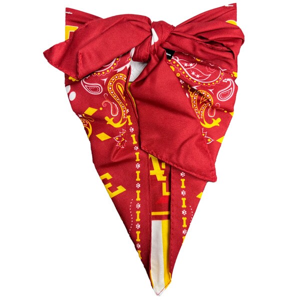 I-State Pet Bandana (X-Large)